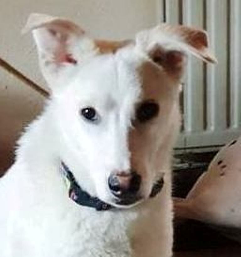 Benny