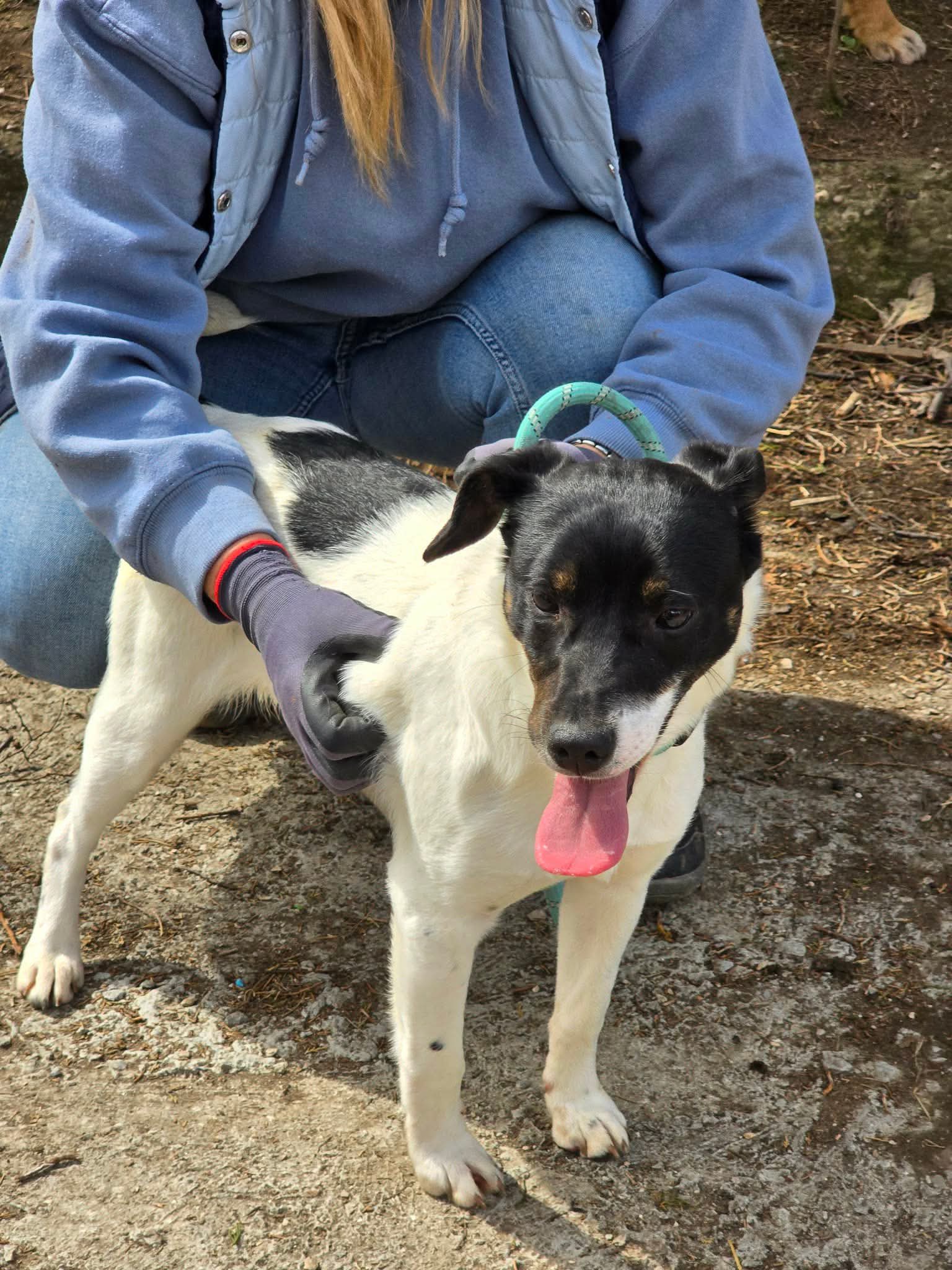 Rey❤️