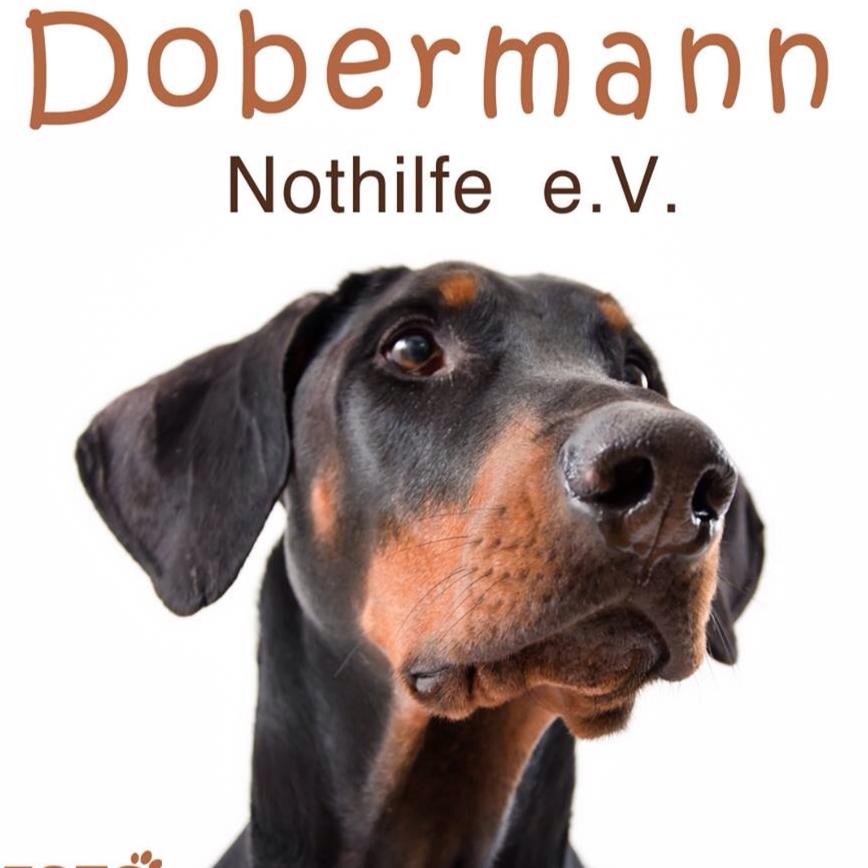 Dobermann Nothilfe e.V.