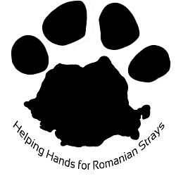 Helping Hands for Romanian Strays e.V.