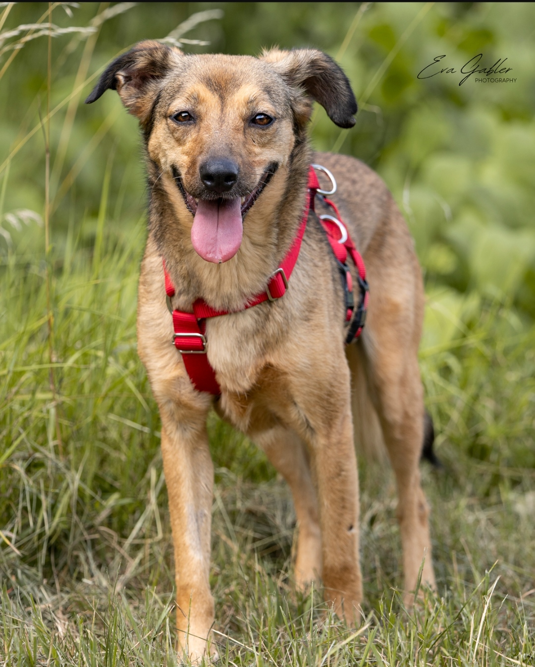 Zita
