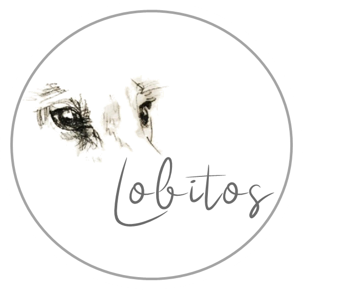 Lobitos e.V