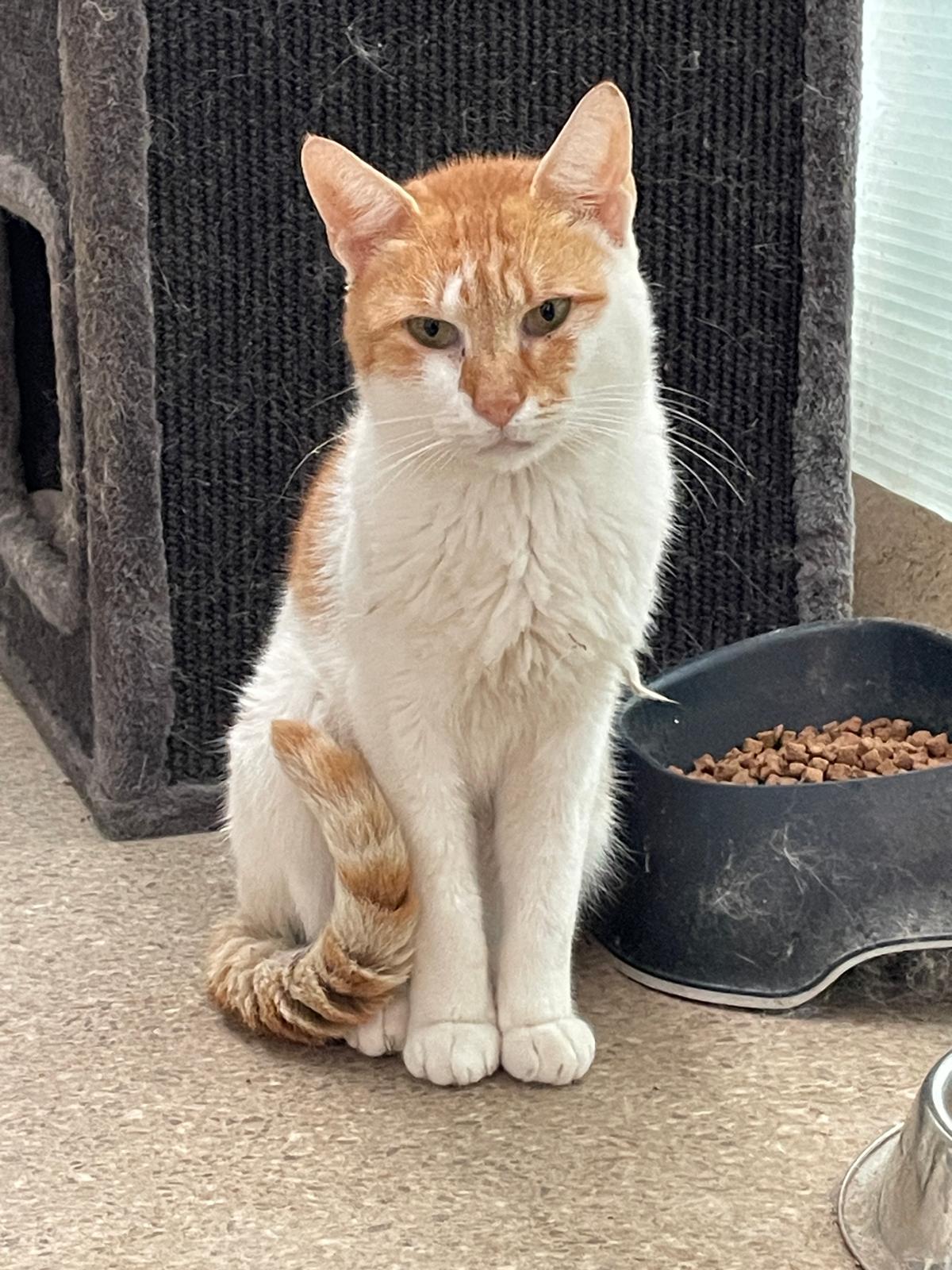 ❣️ Scotty ❣️ Freigang