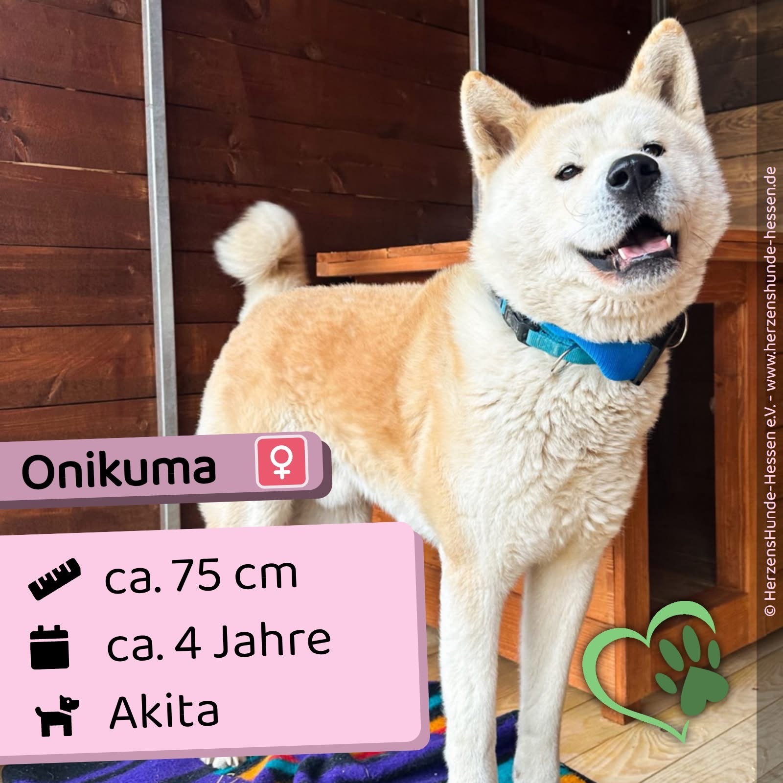 Onikuma