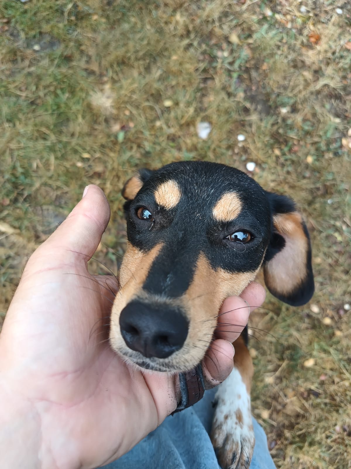 Cleo