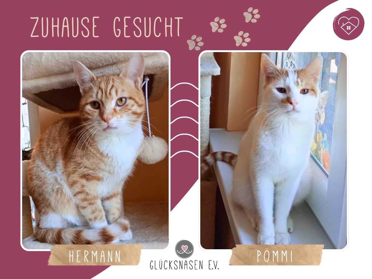 Hermann und Pömmi warten