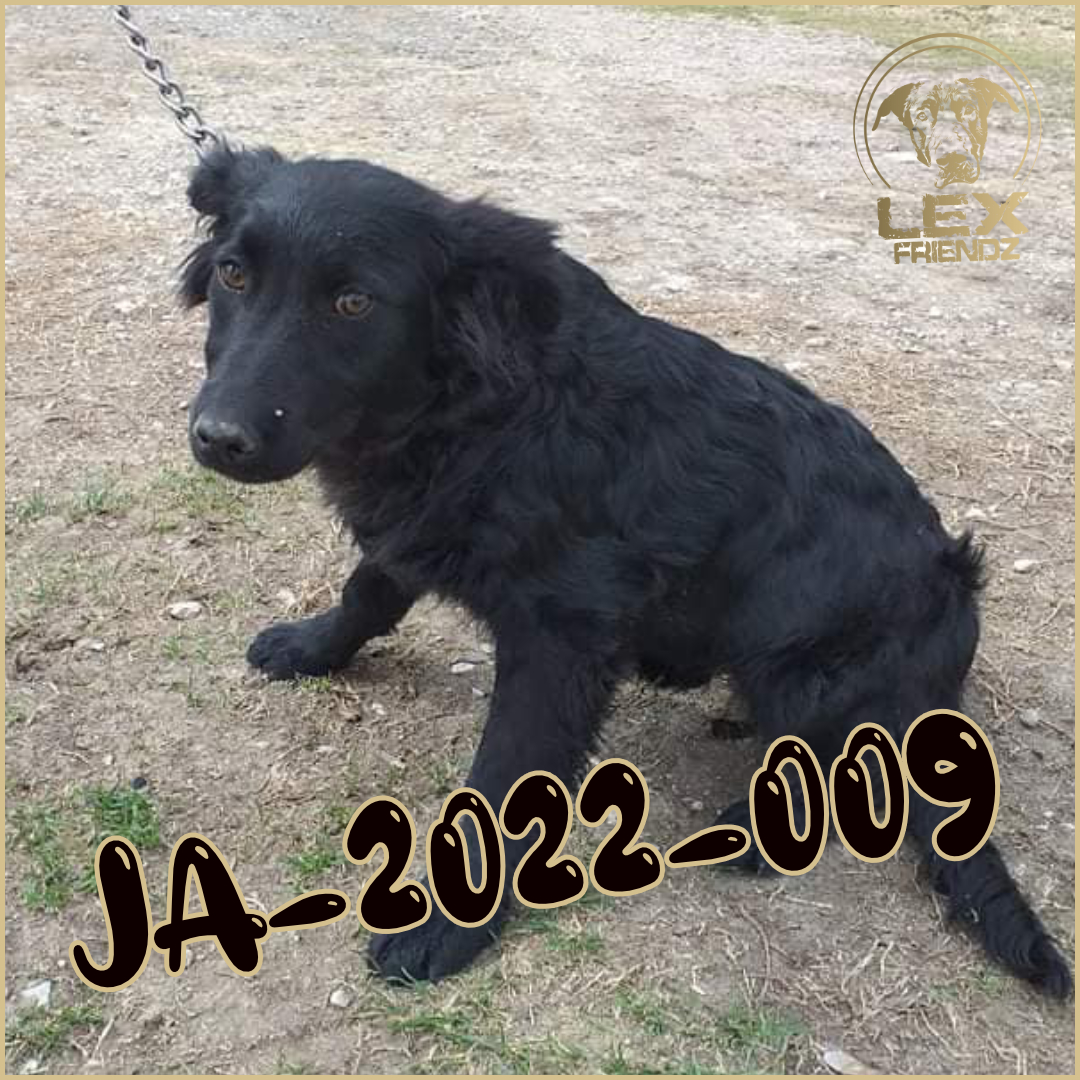 JA-2022-009
