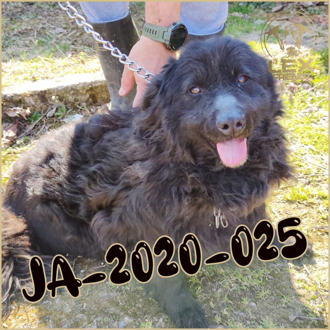 JA-2020-025