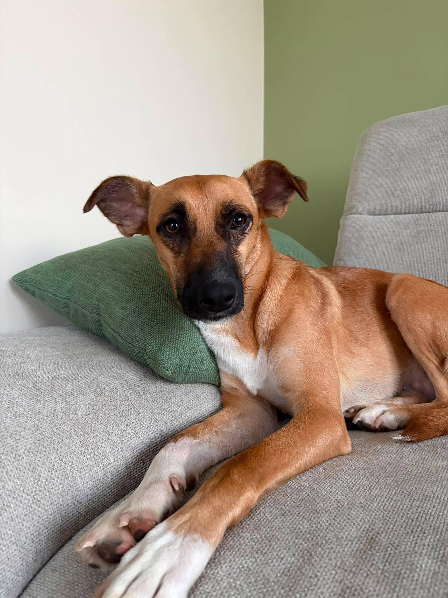 Gina ❤️ - sucht aus 64807