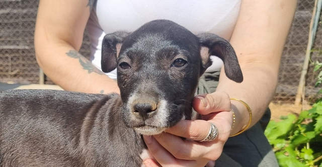Minnesota