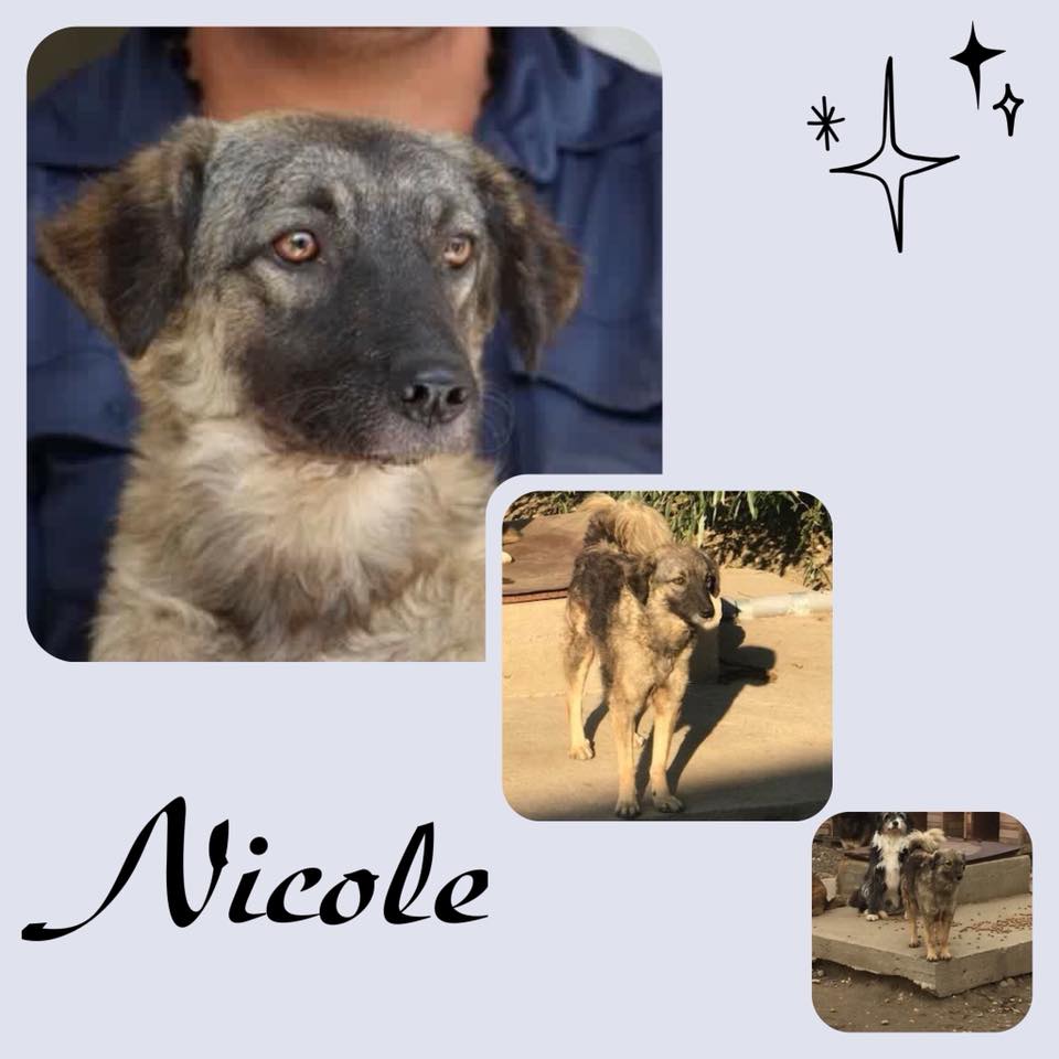 Nicole