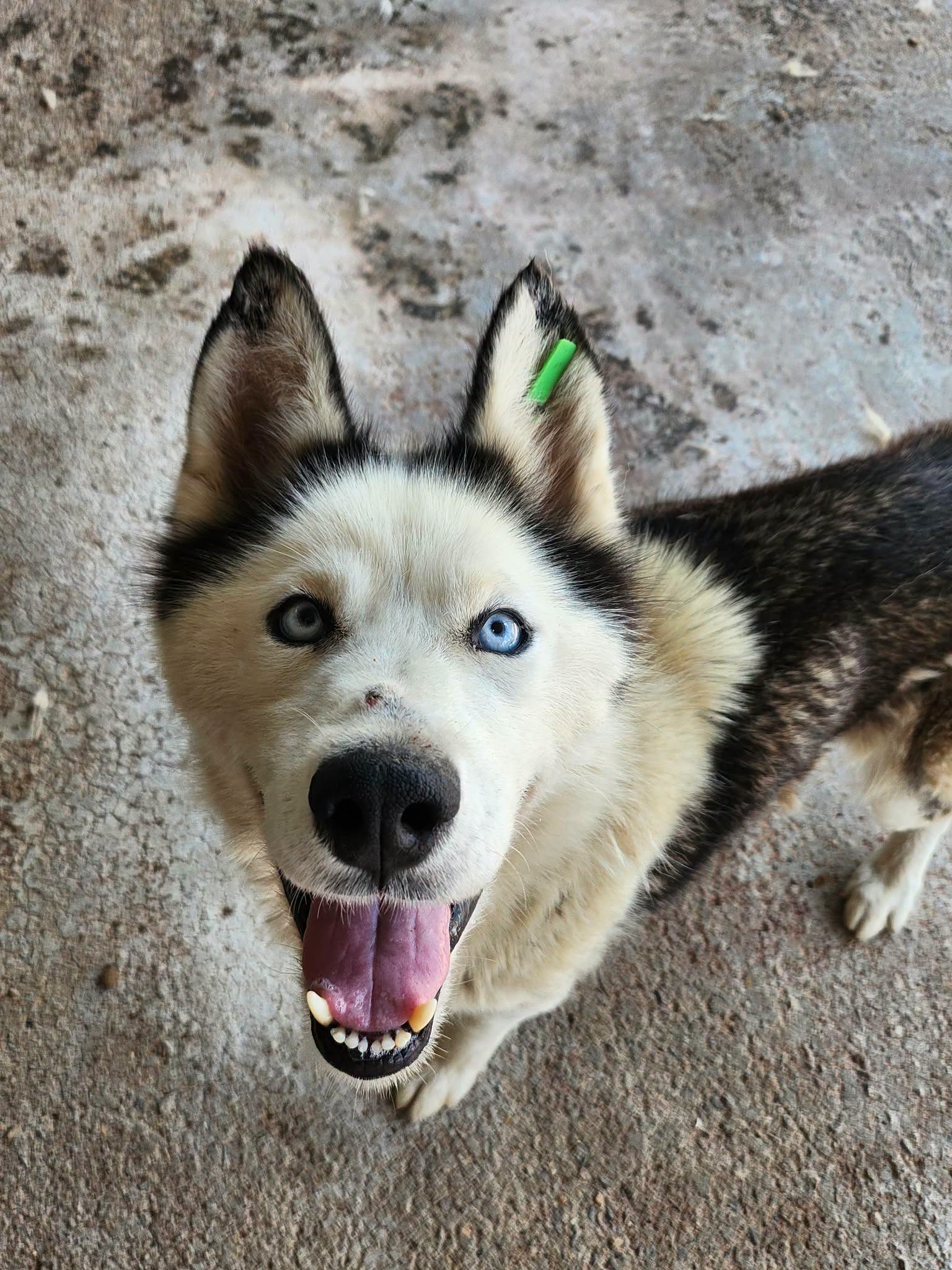 Aurora ❤️