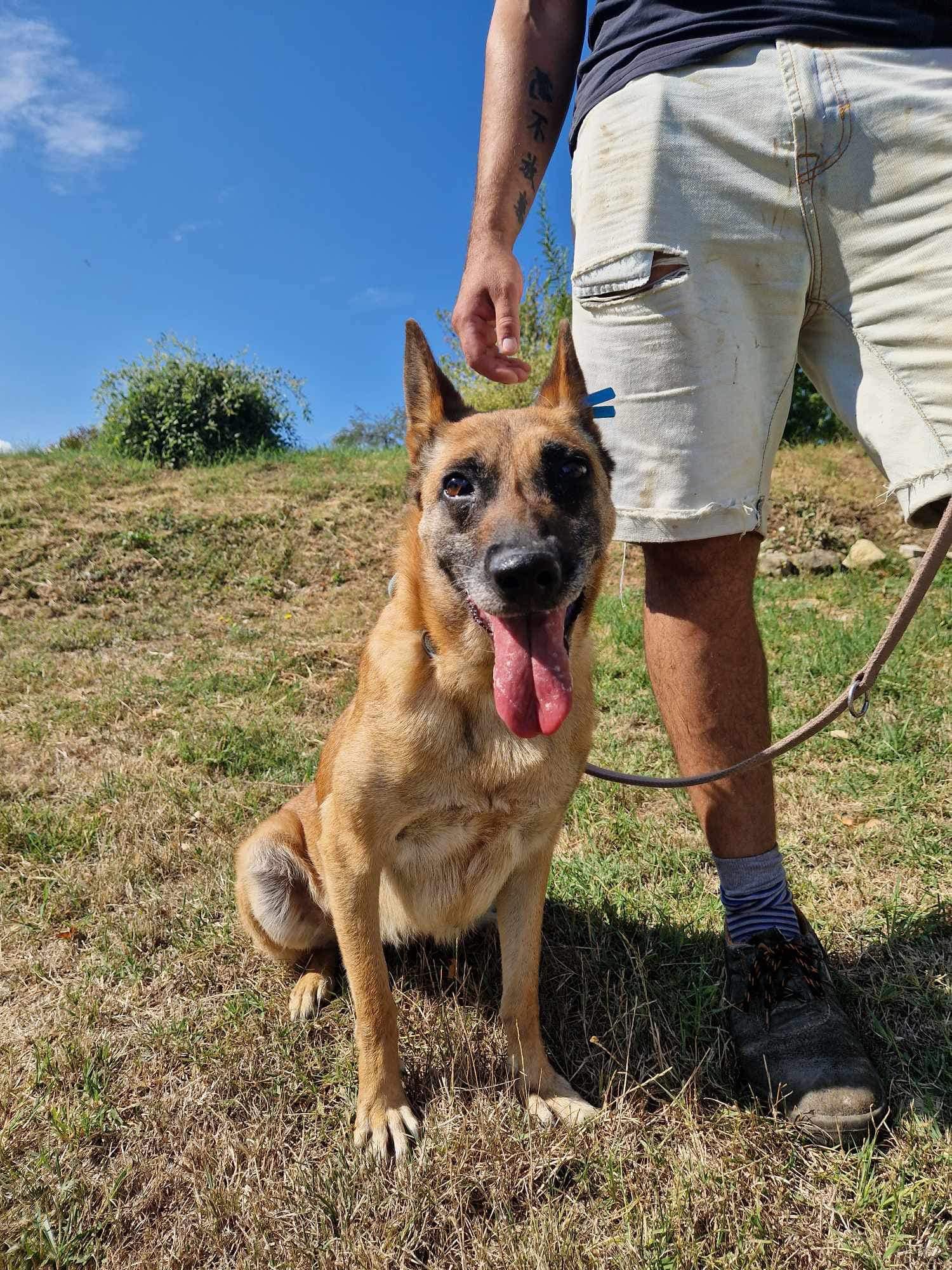 Ruby ❤️ - sucht aus 91616