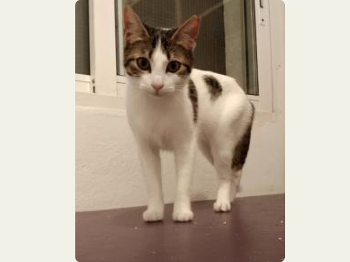 Sweetheart Kiki