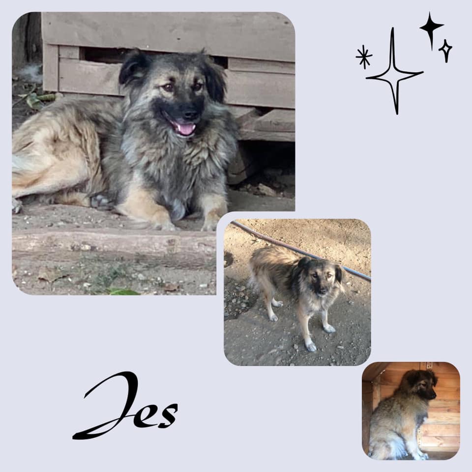 Jes