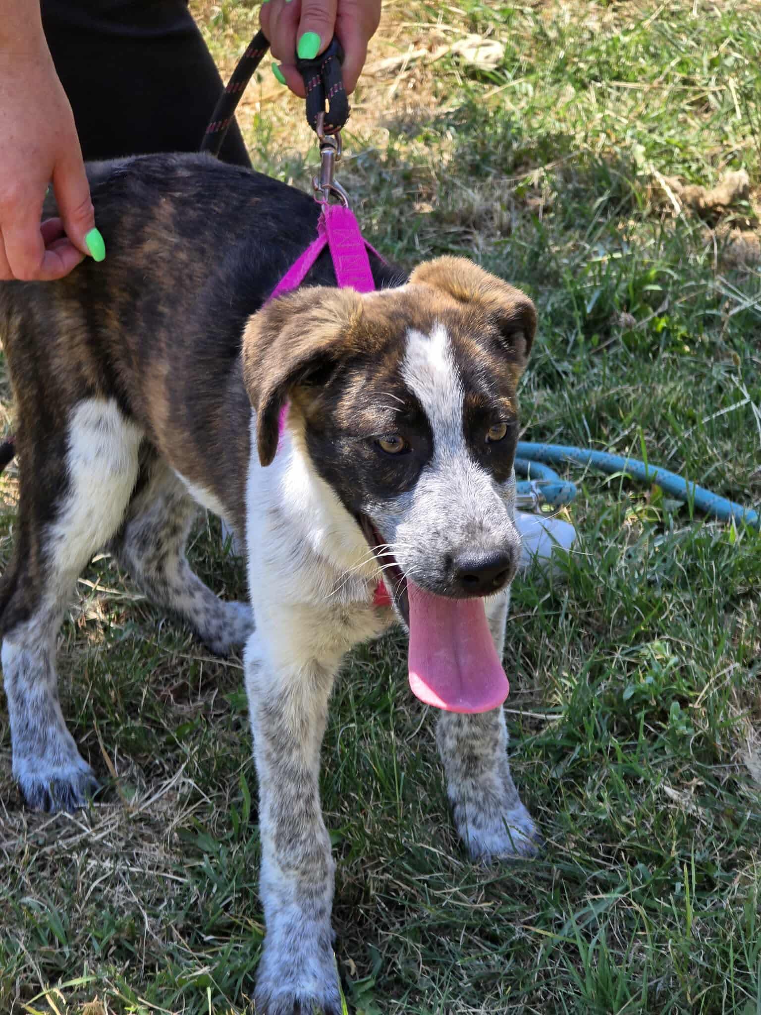 Amira ❤️