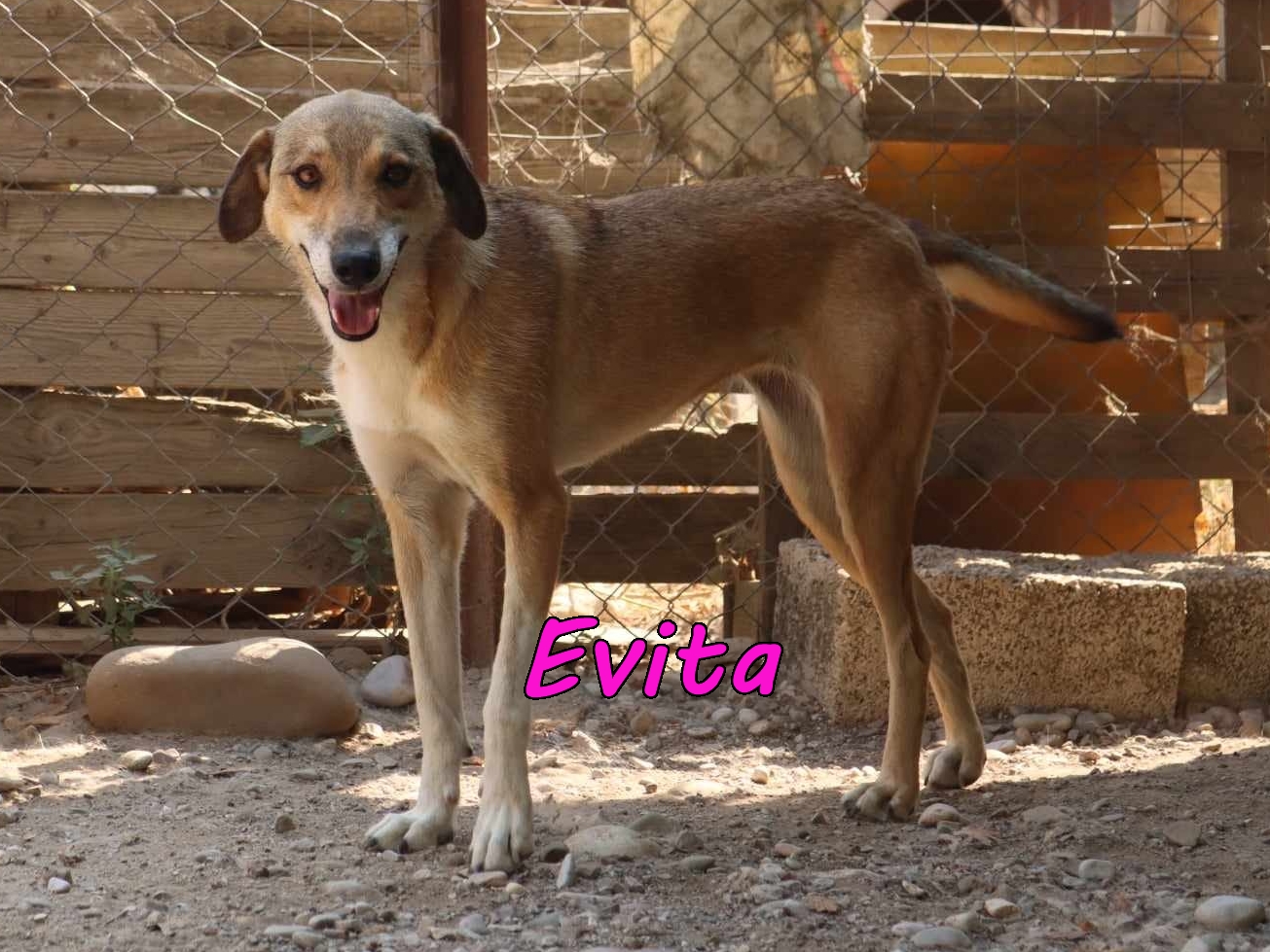 Evita