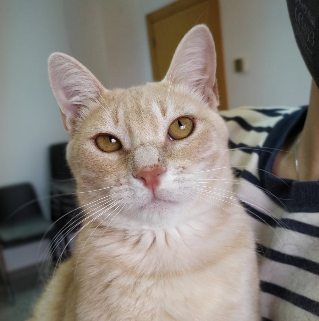 Tobias