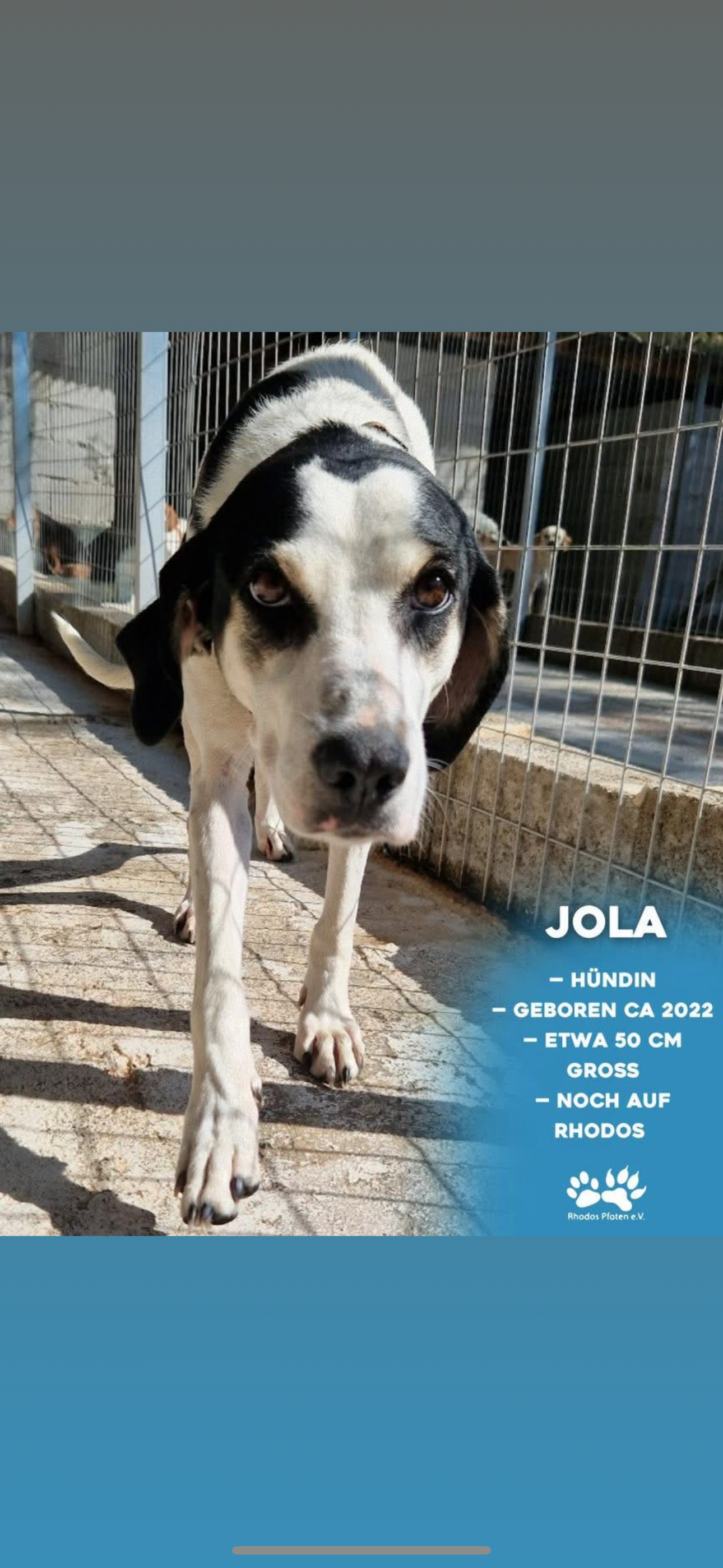 Jola