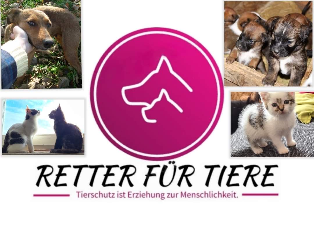 Retter für Tiere e.V.