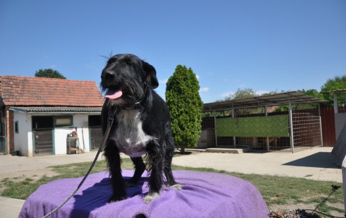 gute Laune Tinko