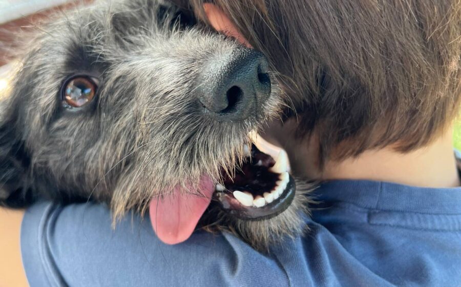 Naya