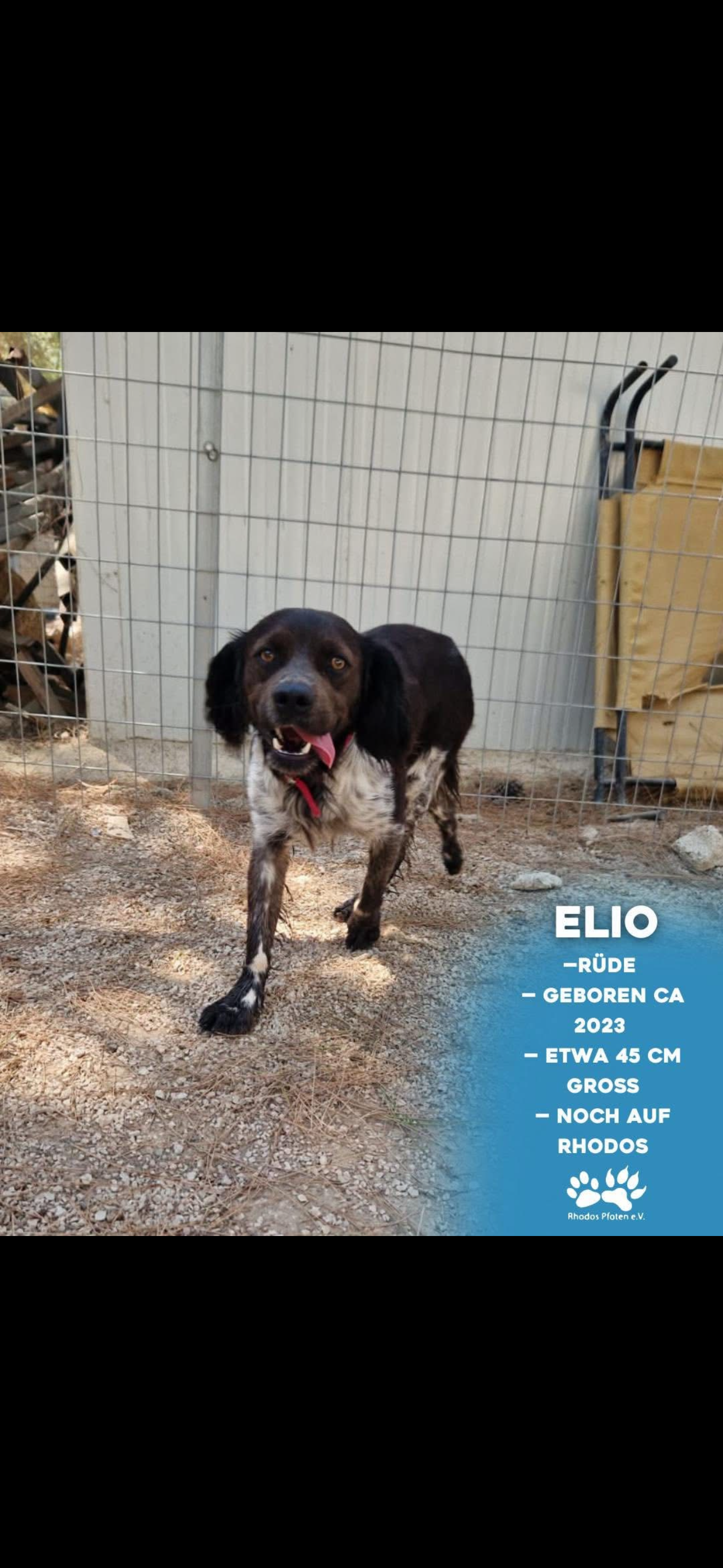 Elio