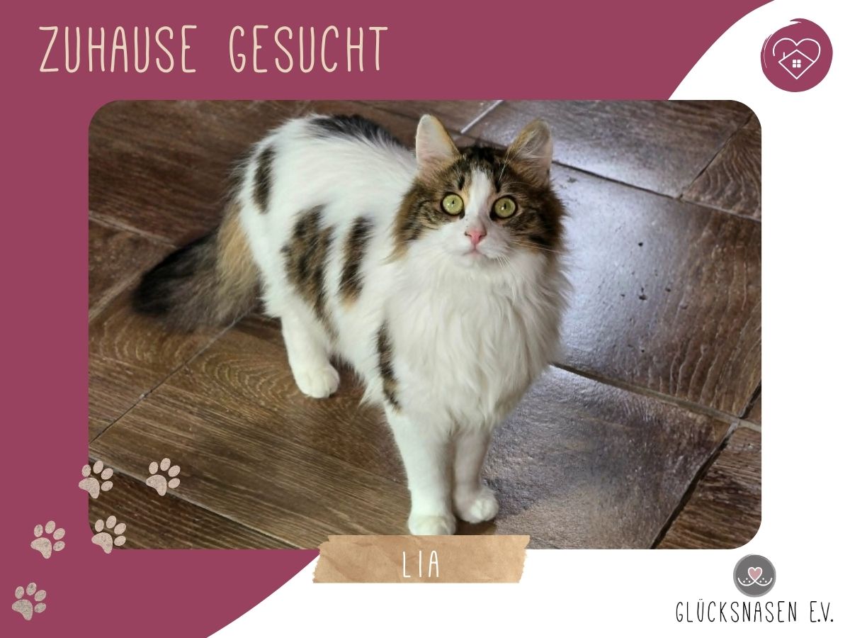 Lia sucht ihr Herzensmenschen