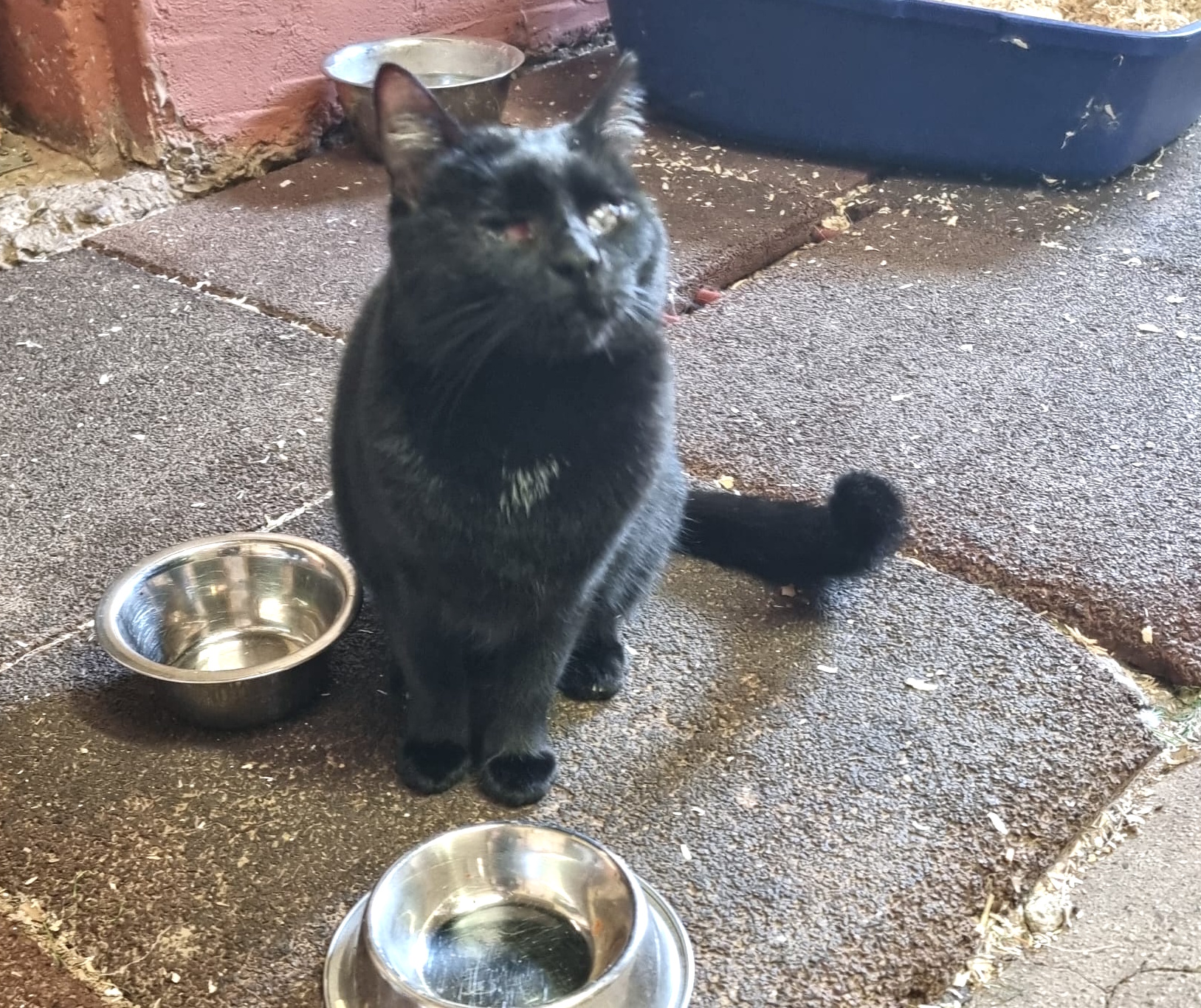 Marzia