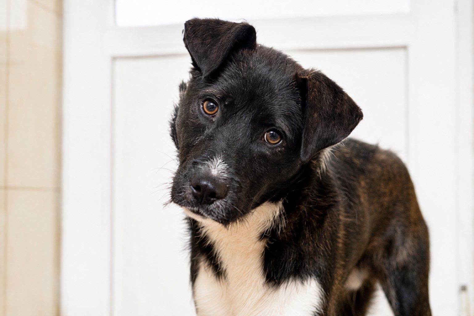Sanft, freundlich - Lemmy