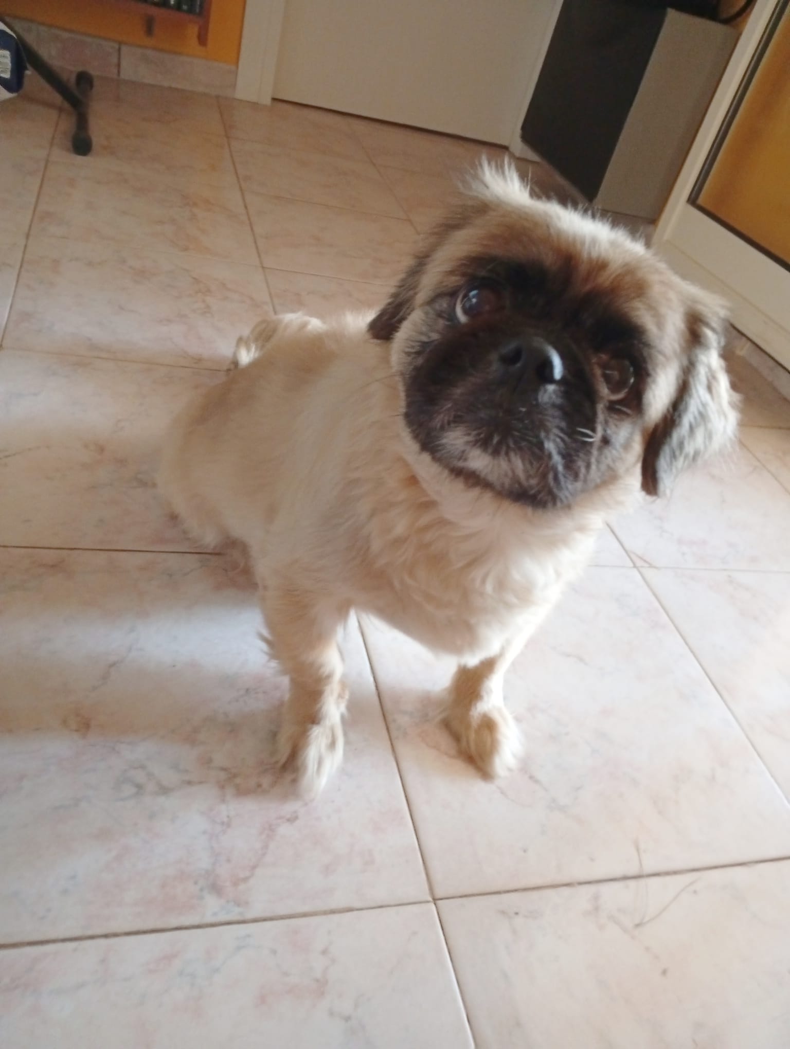 Benni