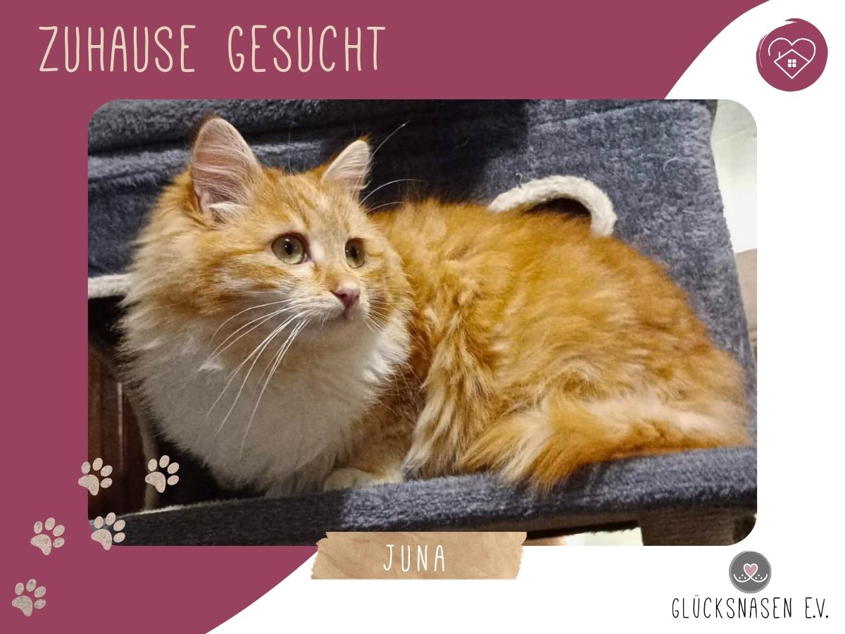 Juna packt gern ihren Koffer