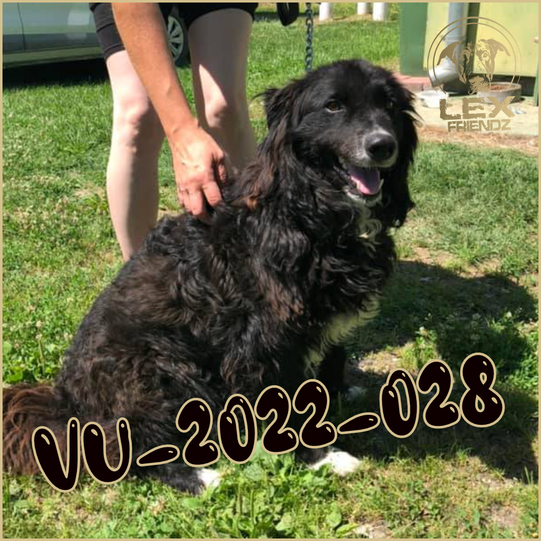 VU-2022-028