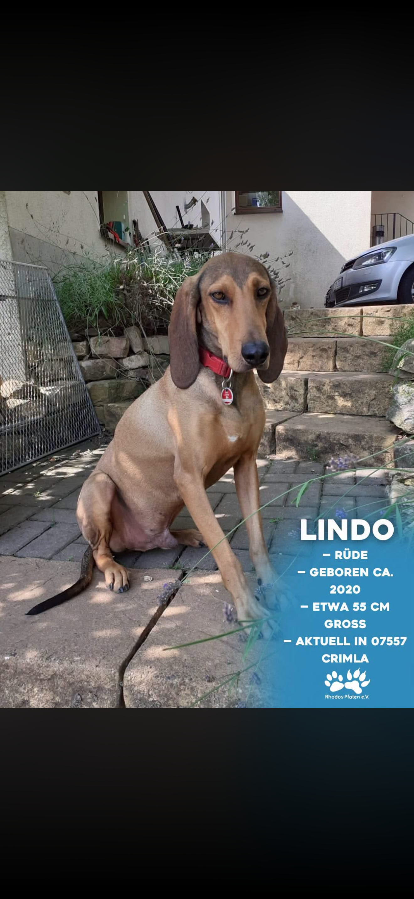 Linda