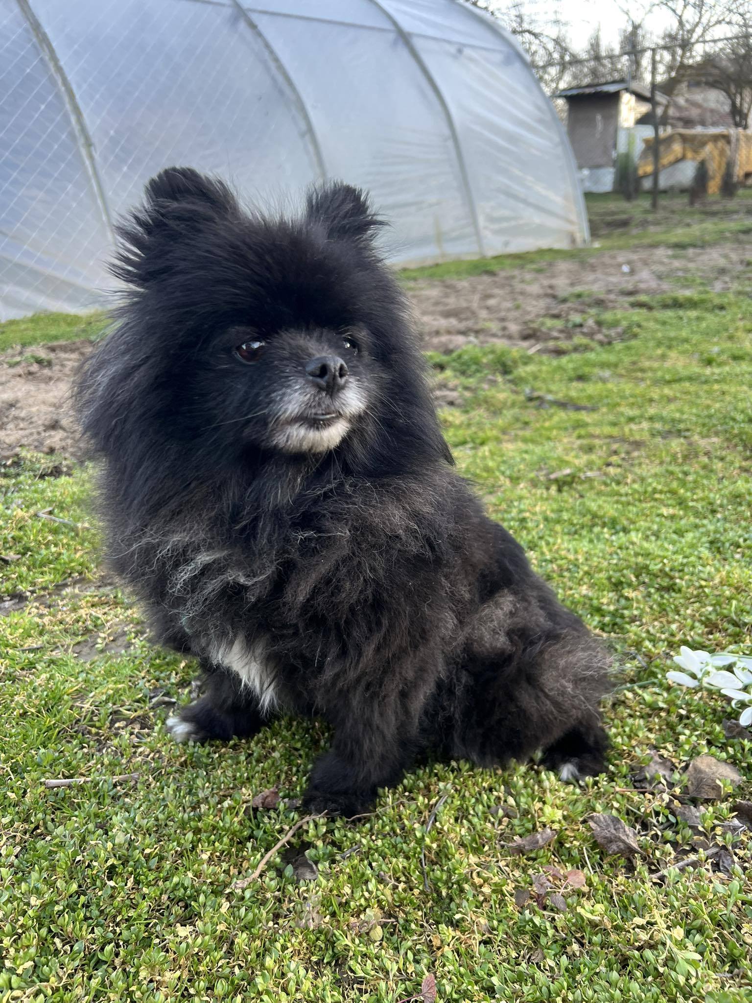 Luna ❤️