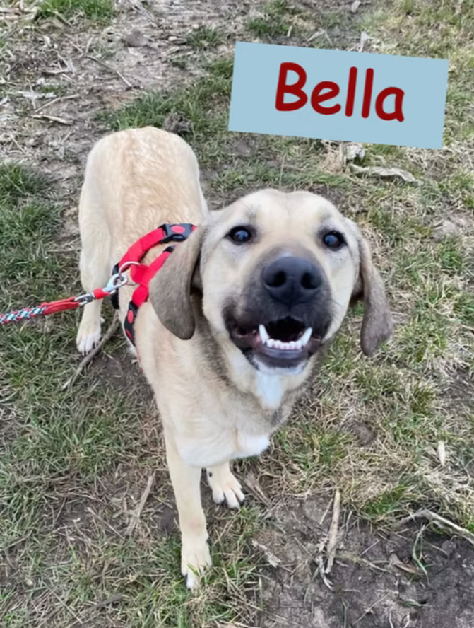 Bella