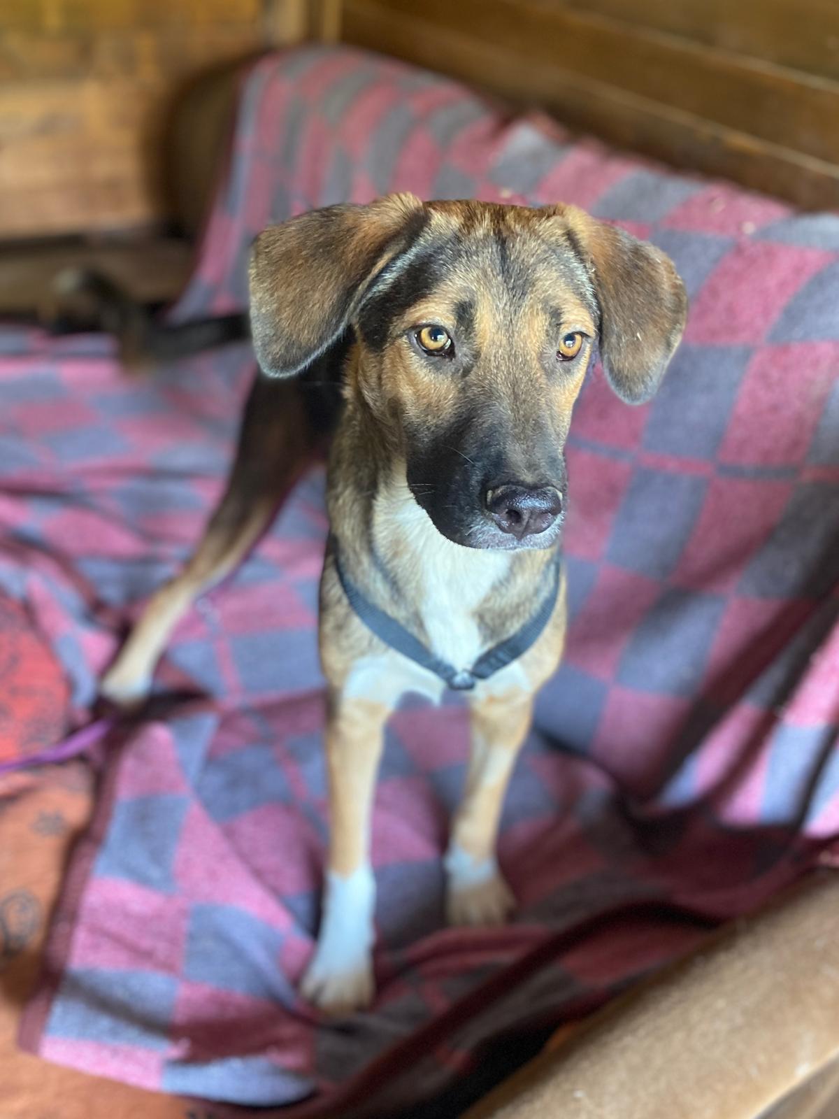 Coco