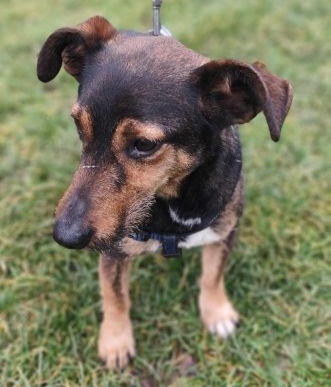 Max