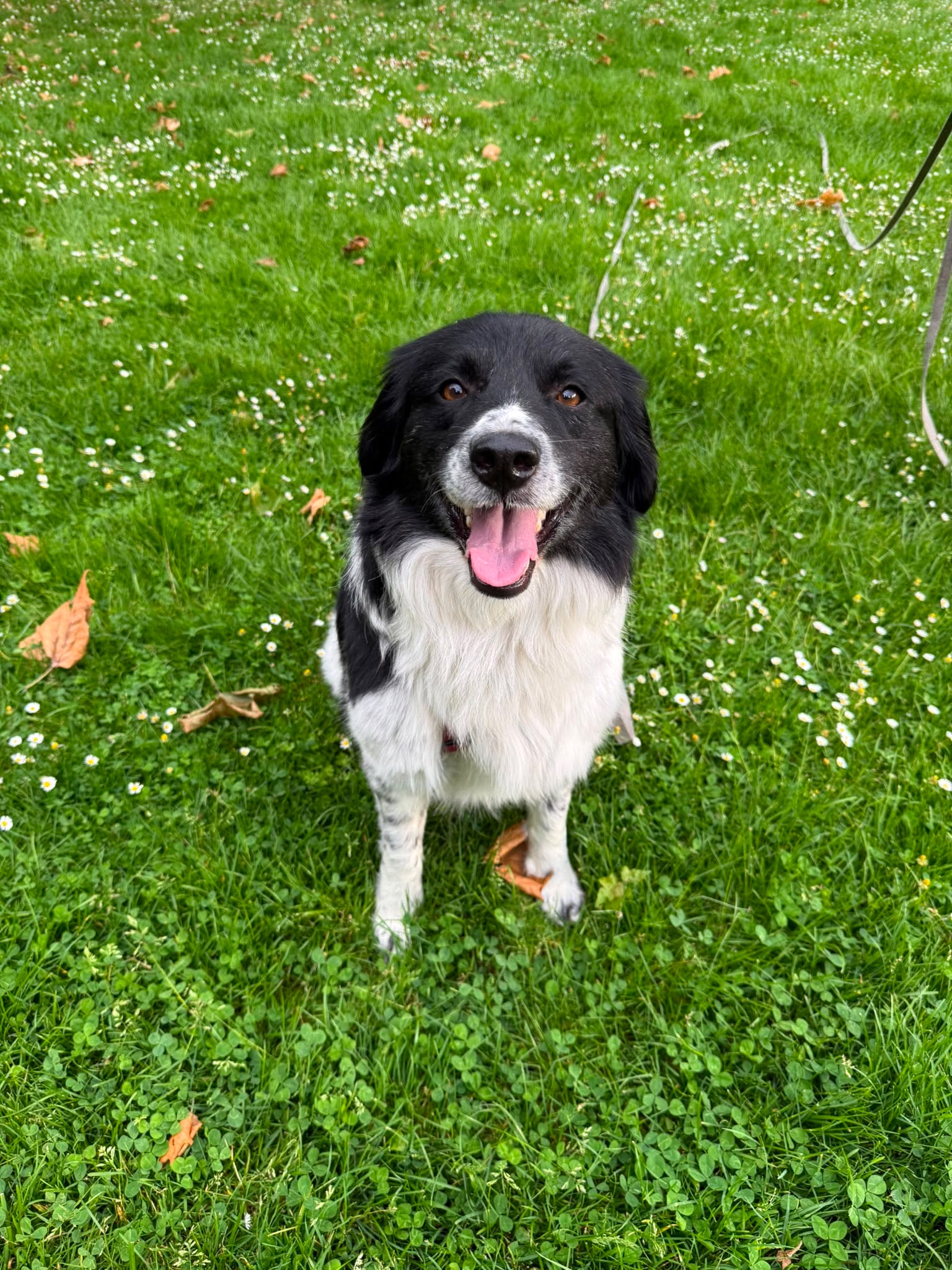 Muki