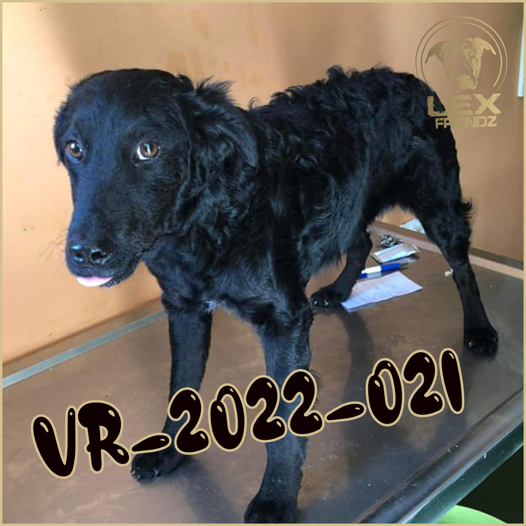 VR-2022-021
