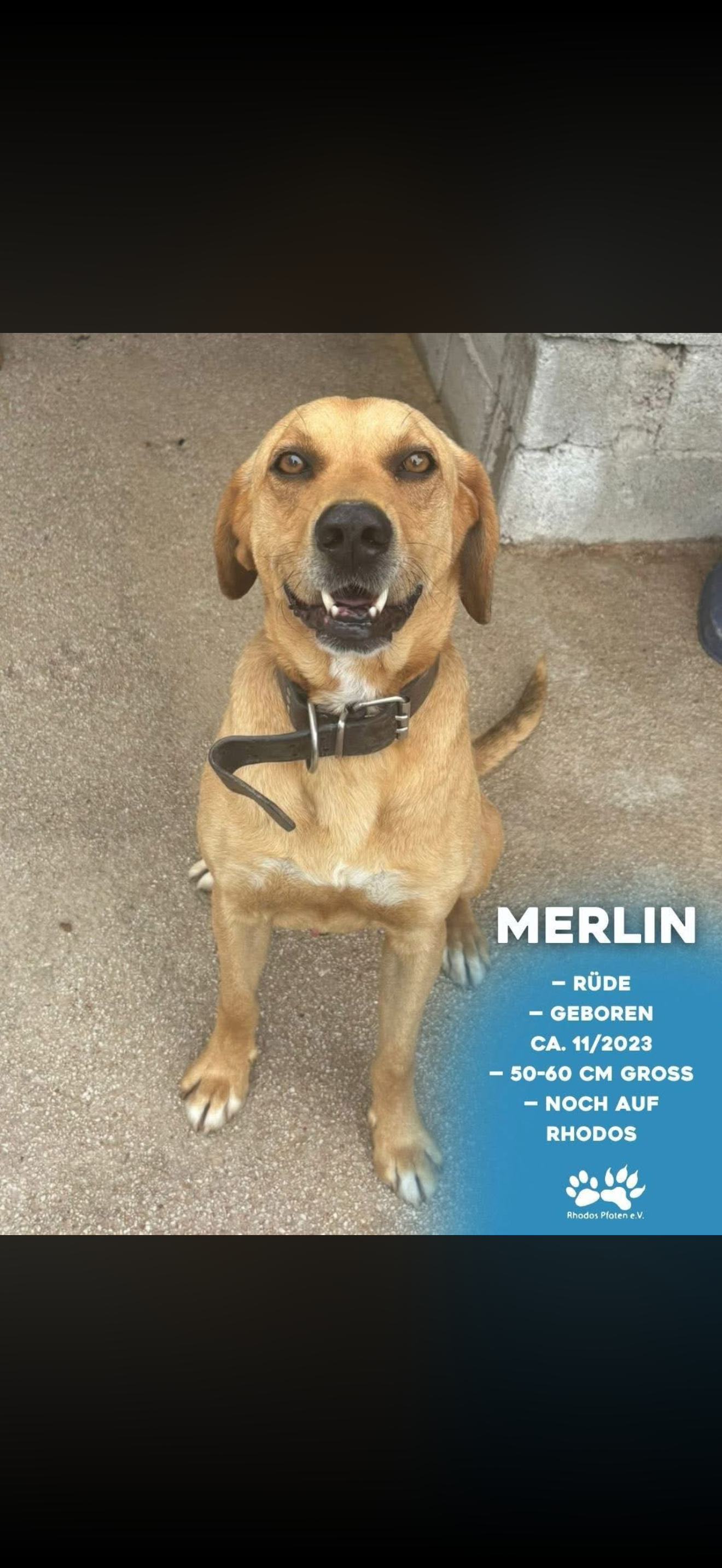 Merlin