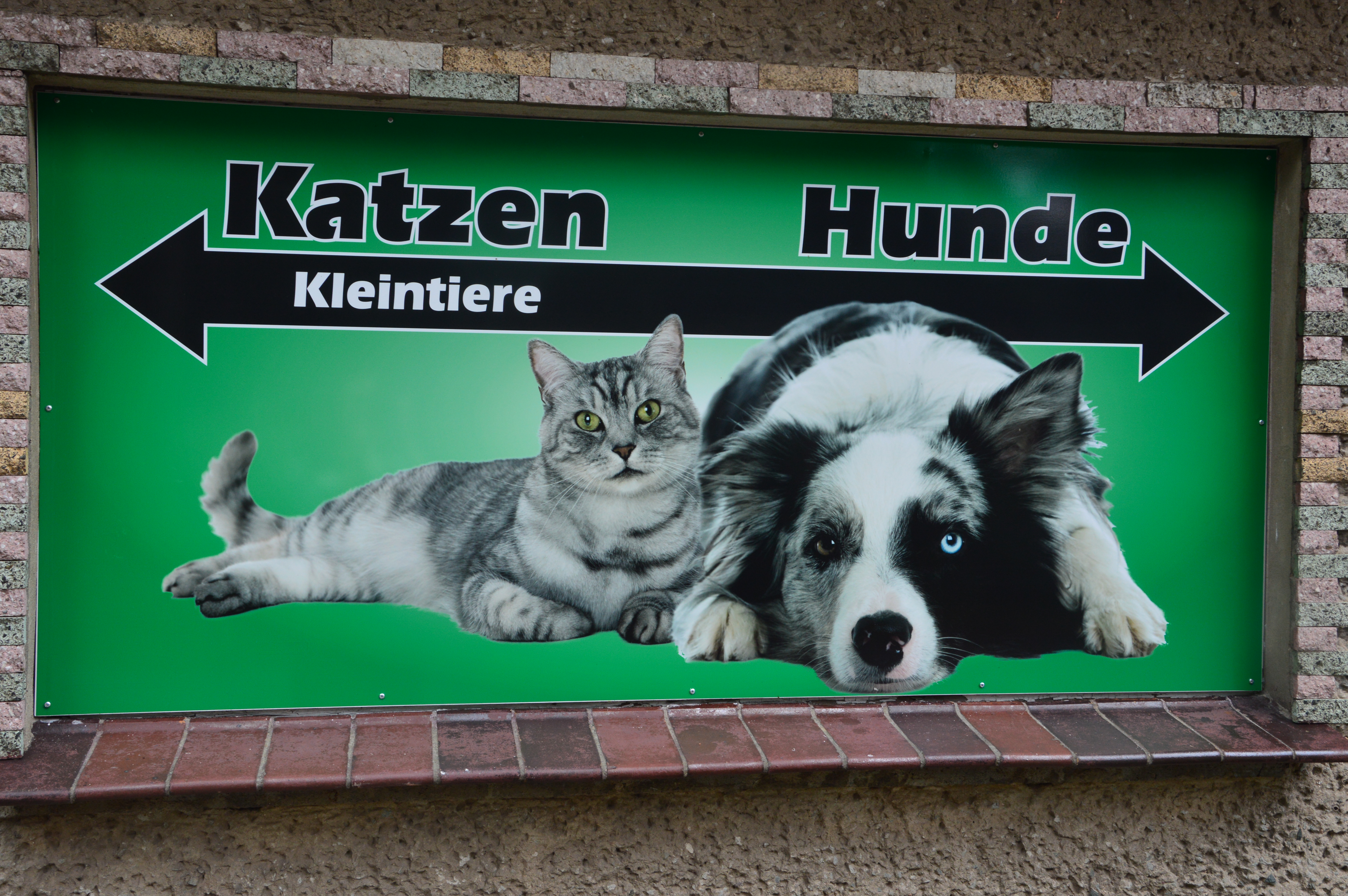 Tierheim Falkensee