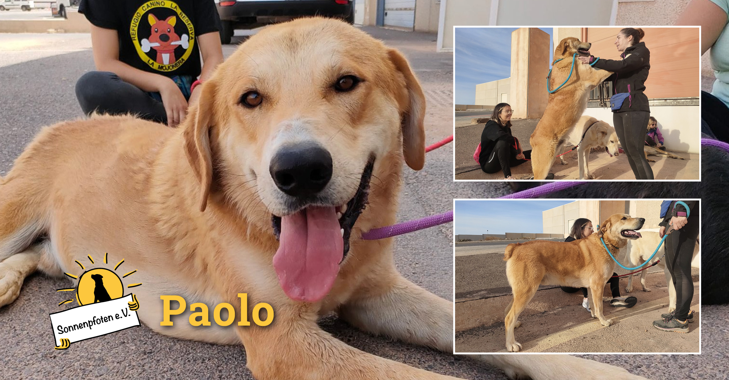 Paolo