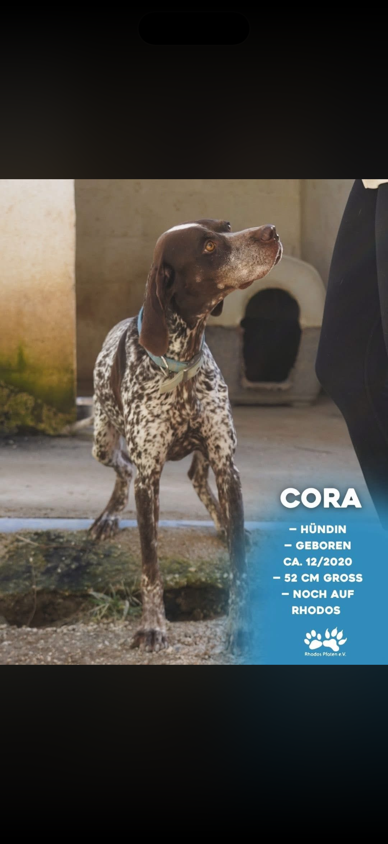 Cora