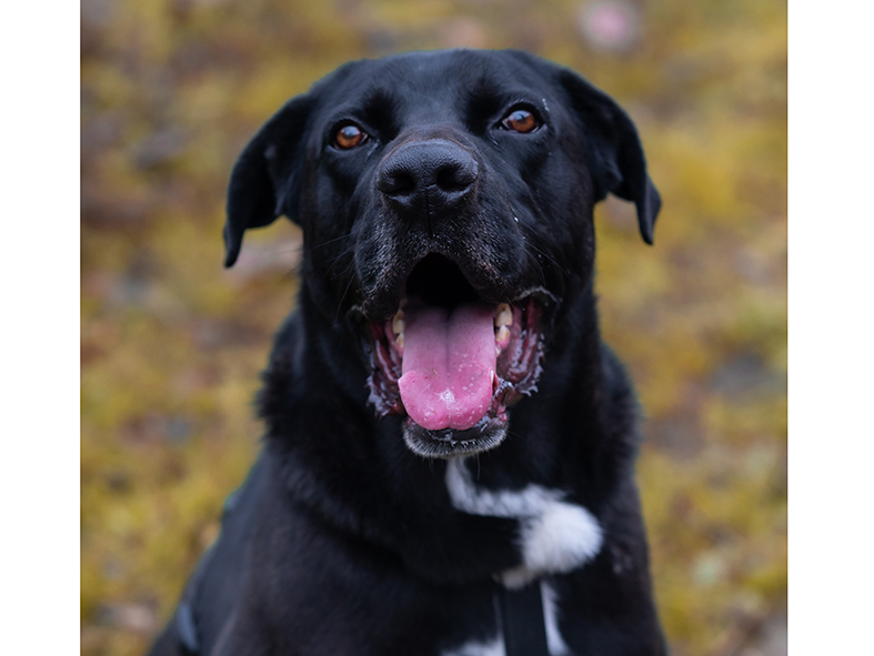 Carlos