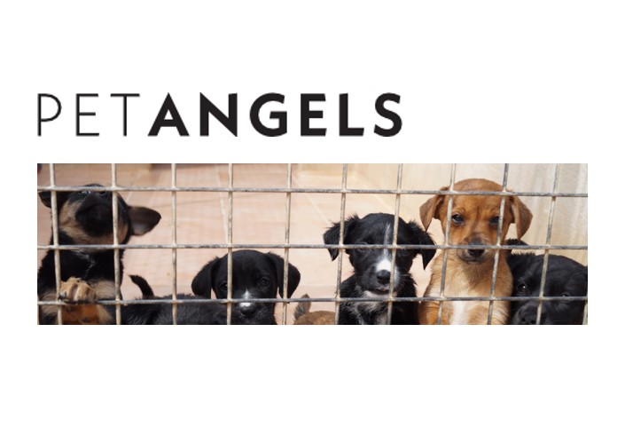 Petangels gGmbH