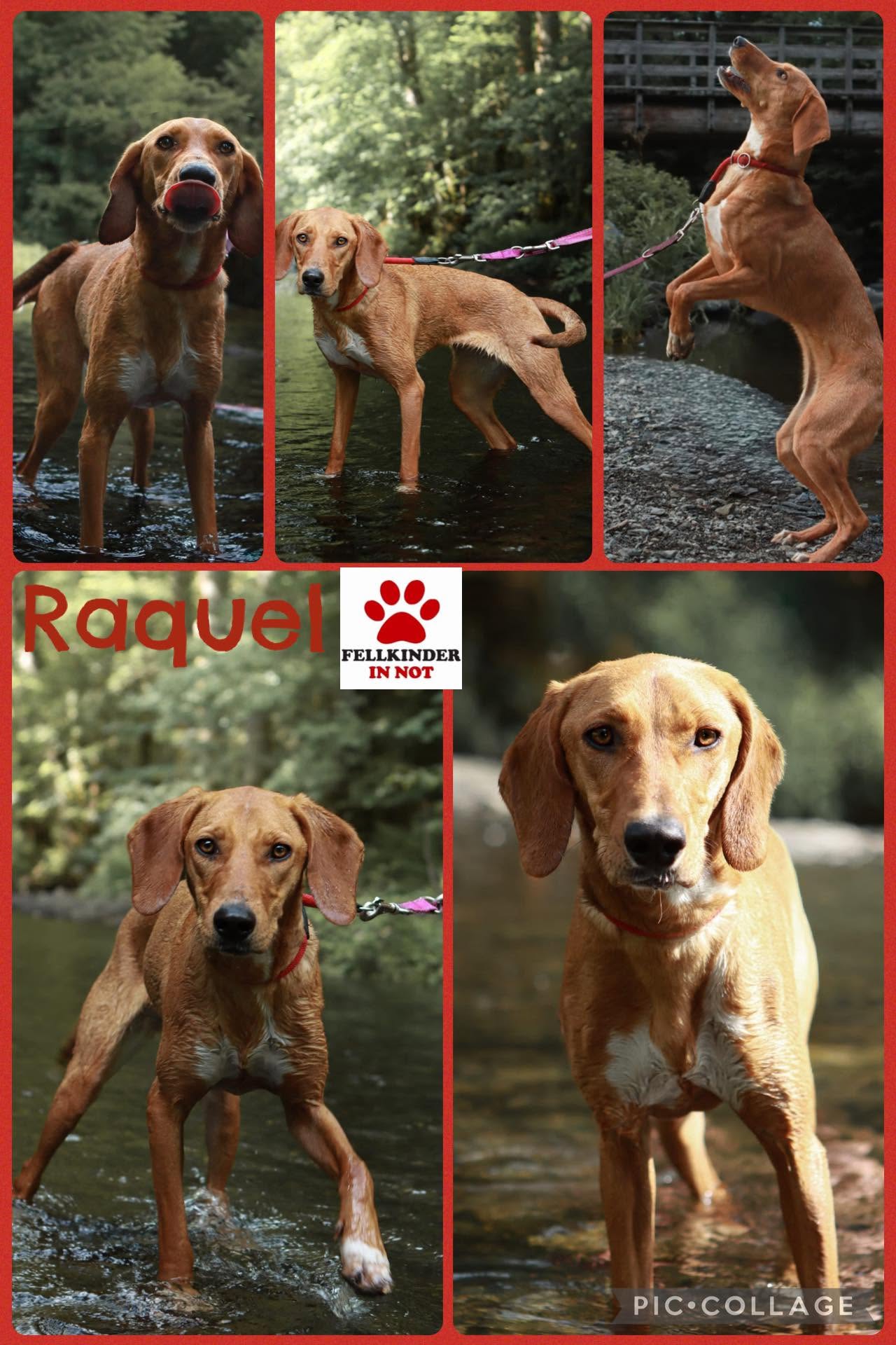 Raquel
