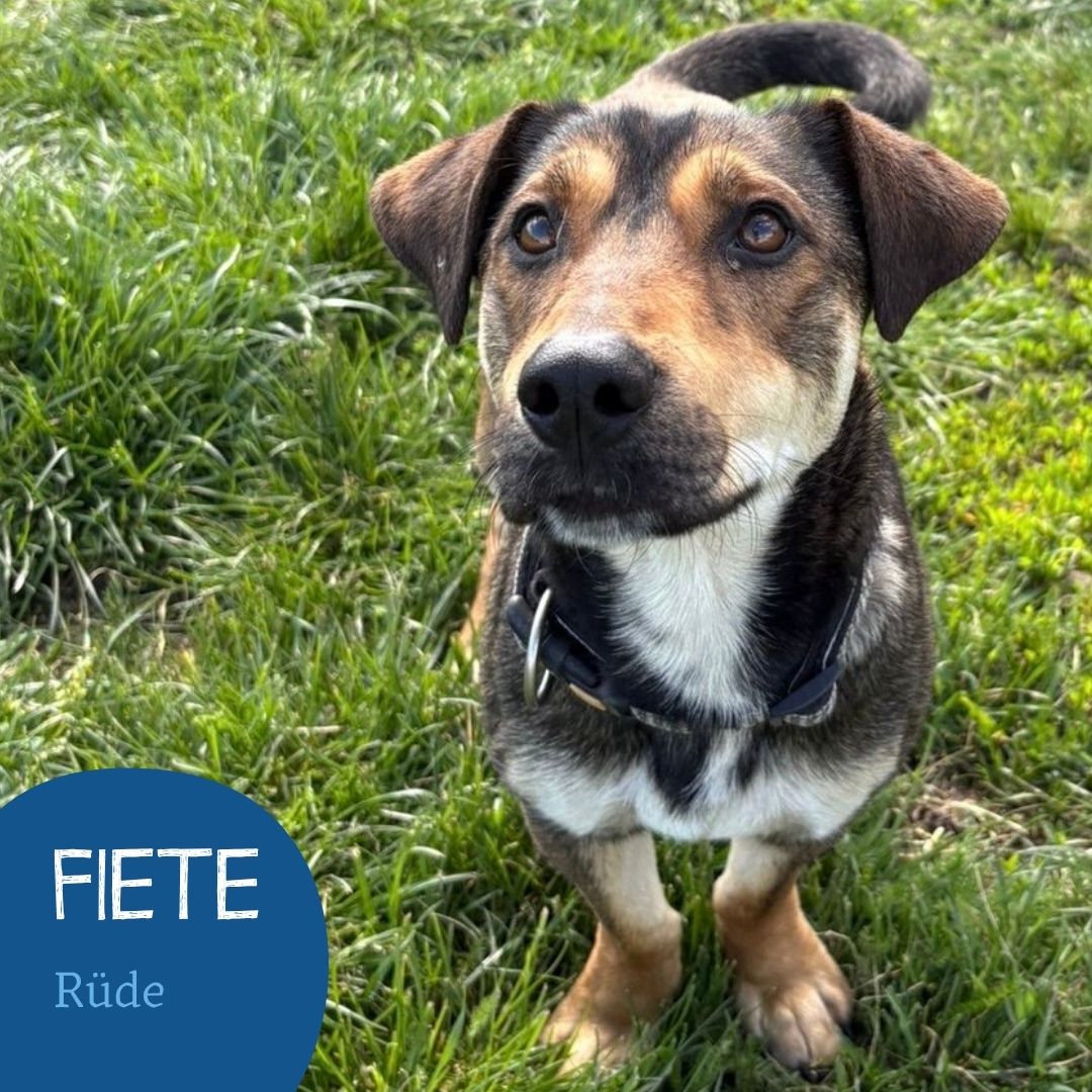 Fiete