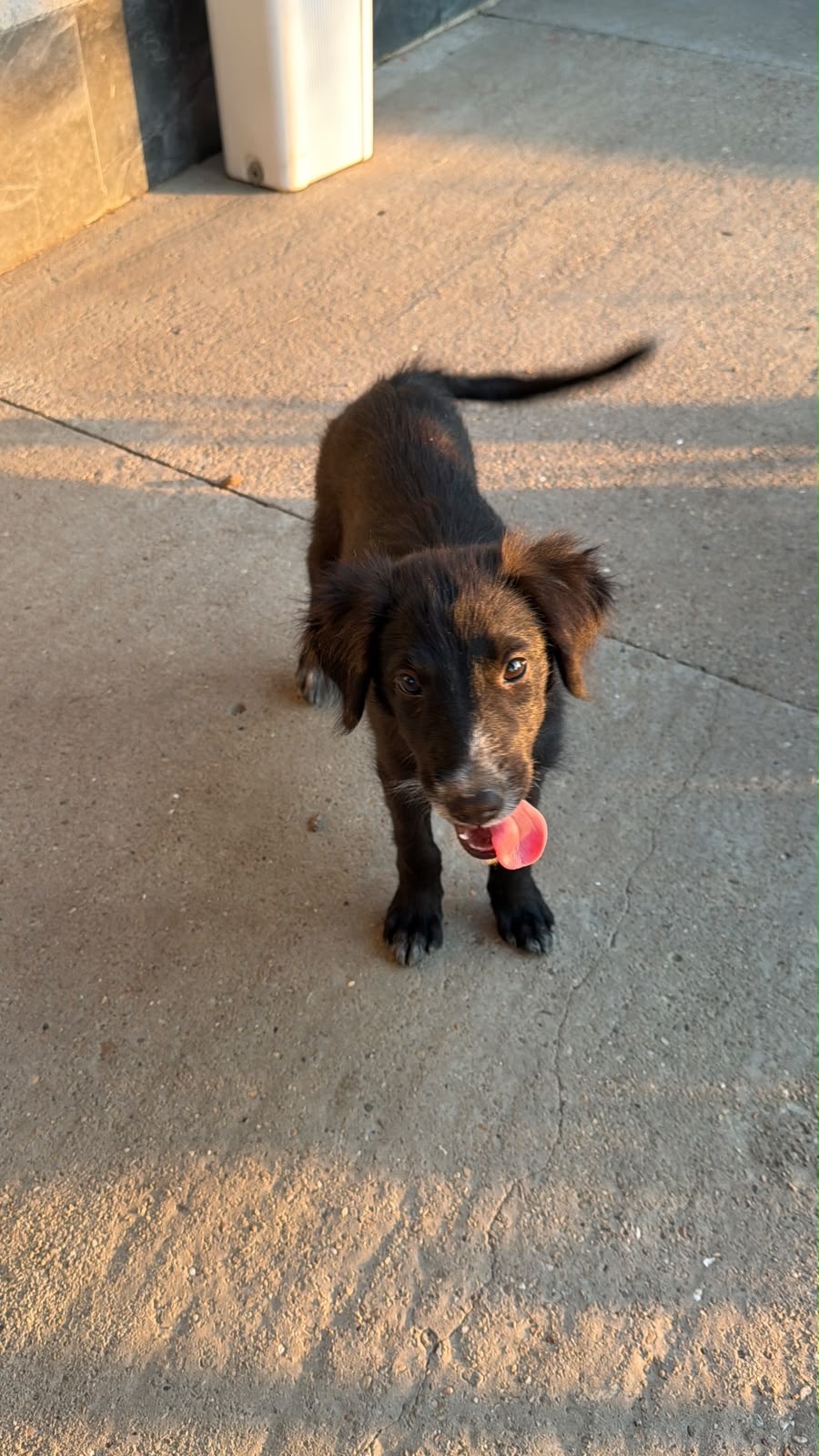Leife 🐾🐕