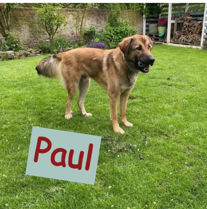 Paul
